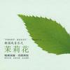 橄欖樹樂隊 誰不說俺家鄉好 試聽