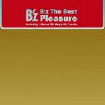 The Best“Pleasure”詳情