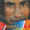 Medwyn Goodall Secrets 試聽