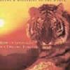 Medwyn Goodall Watching Silent Water 試聽