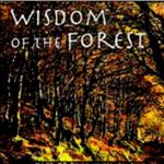 Wisdom of the Forest