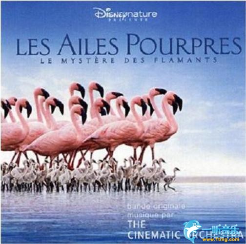 Les Ailes Pourpres 紅色翅膀：火烈鳥故事