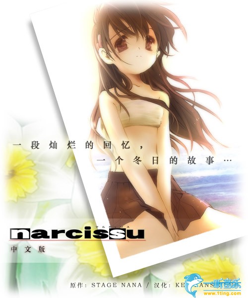 Narcissu 水仙