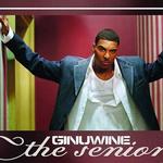 The Senior詳情