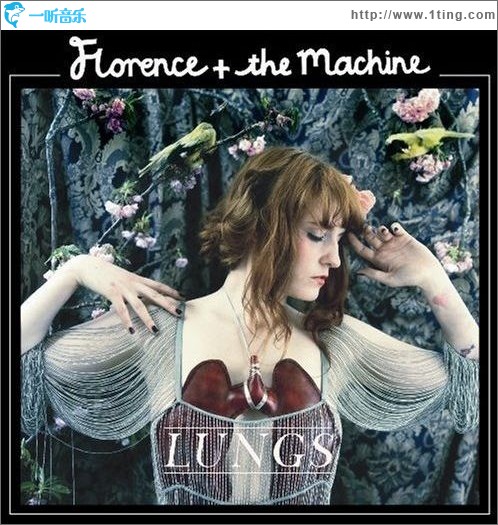 Lungs