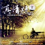 真情燒