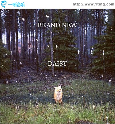 Daisy
