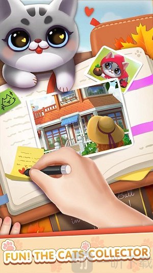首页 挂机养成 猫咪日记 可爱呆萌的小猫是这款猫咪日记游戏中的主角
