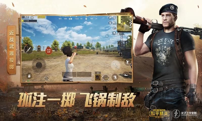 鸡仙