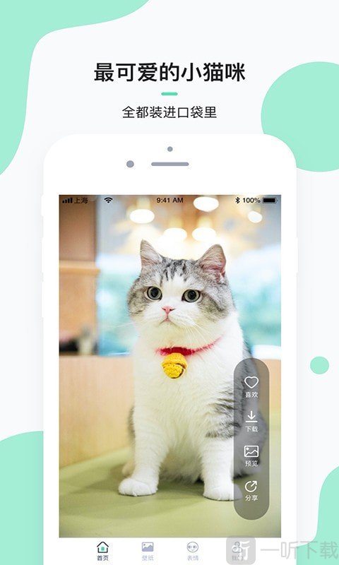 每日一猫app下载-每日一猫最新版下载v1.1.9-一听下载