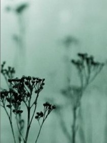 Somber Poetry For Dying Thee