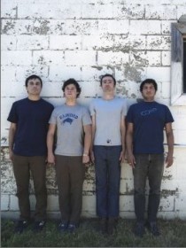 Shins, The