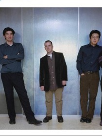 Magnetic Fields, The