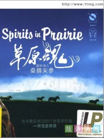 桑措尖参