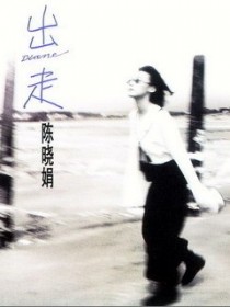 陈晓娟