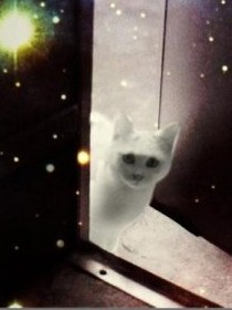 割礼