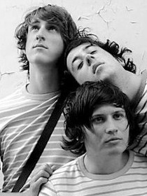 Wombats,The