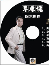 阿尔斯楞