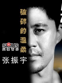 张振宇