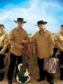 Los Palominos