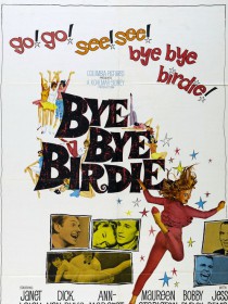 Bye Bye Birdie