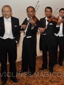 Los Violines Mágicos De Villafontana