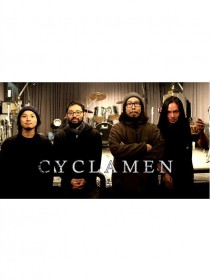 シクラメン(CYCLAMEN)