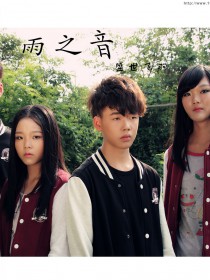 盛世飞羽