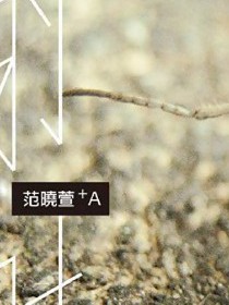 范晓萱+A