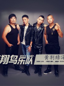 飞翔鸟乐队