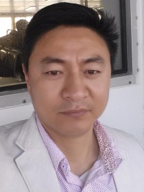 喜来豹