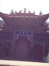 谈丽君