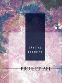 PROJECT APJ