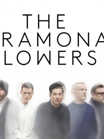 The Ramona Flowers