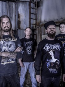Allegaeon