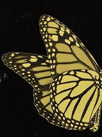 Comma