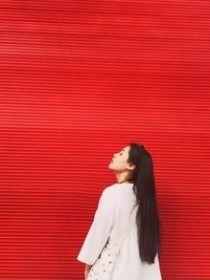 棉子