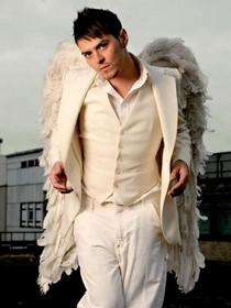 Matt Willis