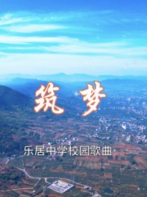 鸽子