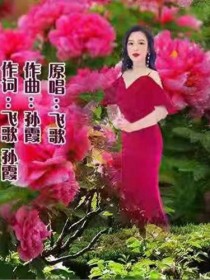 马飞歌