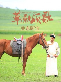 关东阿宝