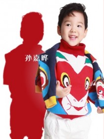 孙嘉晔