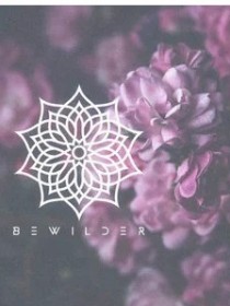 Bewilder