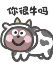 一只球