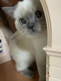 杨瑜婷