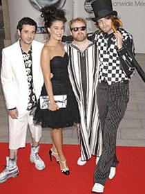 Guillemots