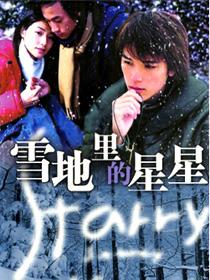 雪地里的星星