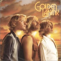 Lonely Island, The