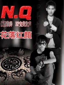 N.Q组合