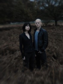 We Fell To Earth
